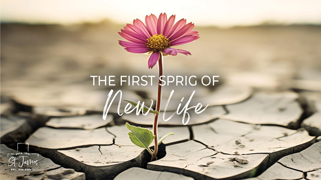 The First Sprig of New Life