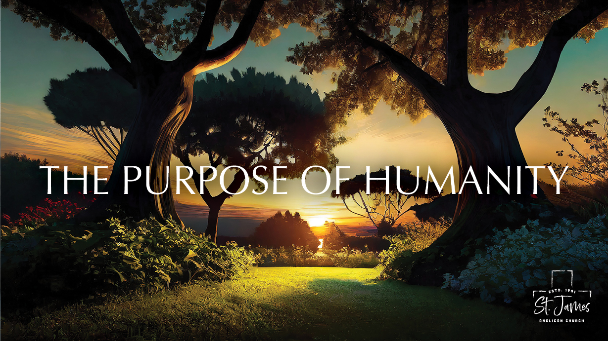 The Purpose Of Humanity