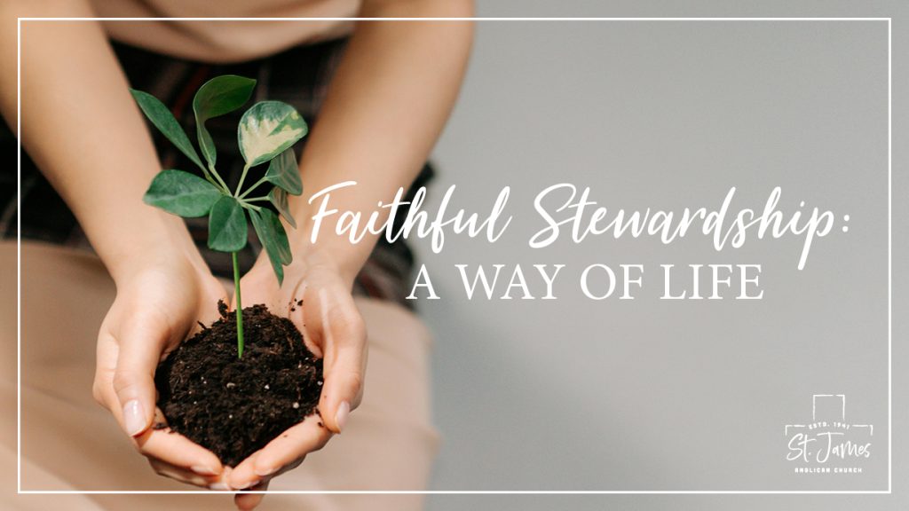 Faithful Stewardship Week 3